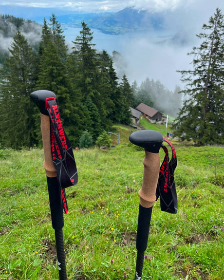 Zwei Alpenwert Teleskop-Wanderstöcke mit Korkgriff und Handschlaufen auf einer Bergwiese
