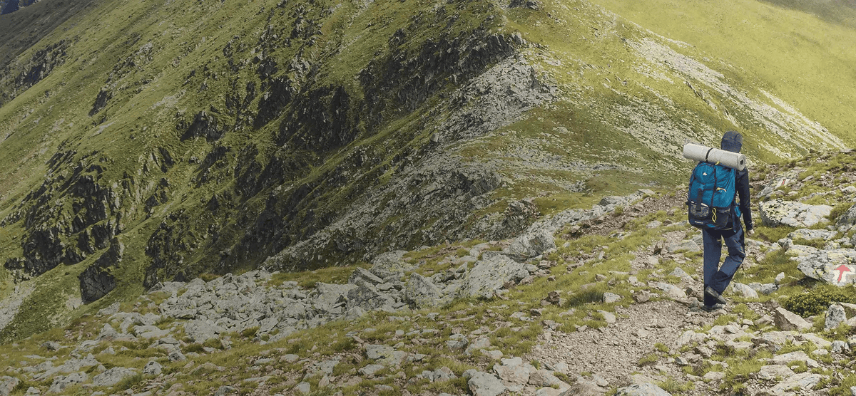 Sparpakete - ALPENWERT
