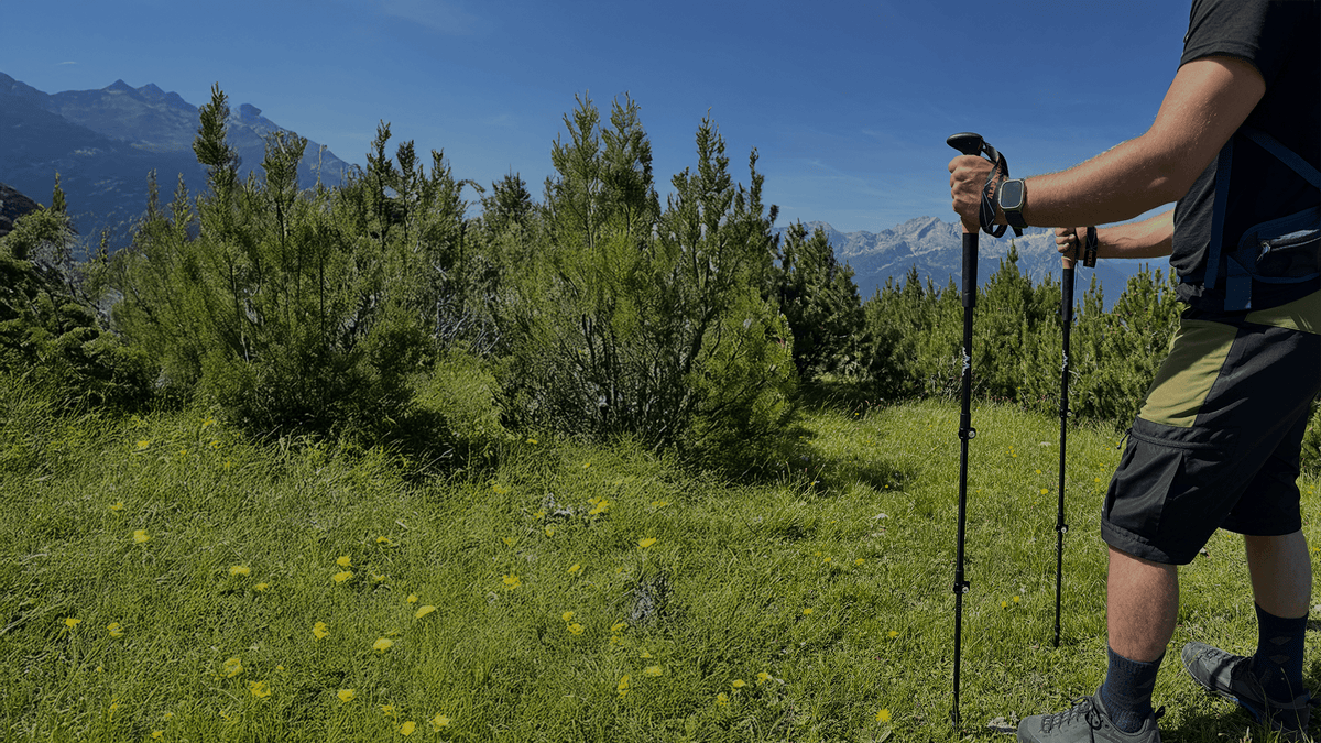 Wanderstöcke Zubehör - ALPENWERT