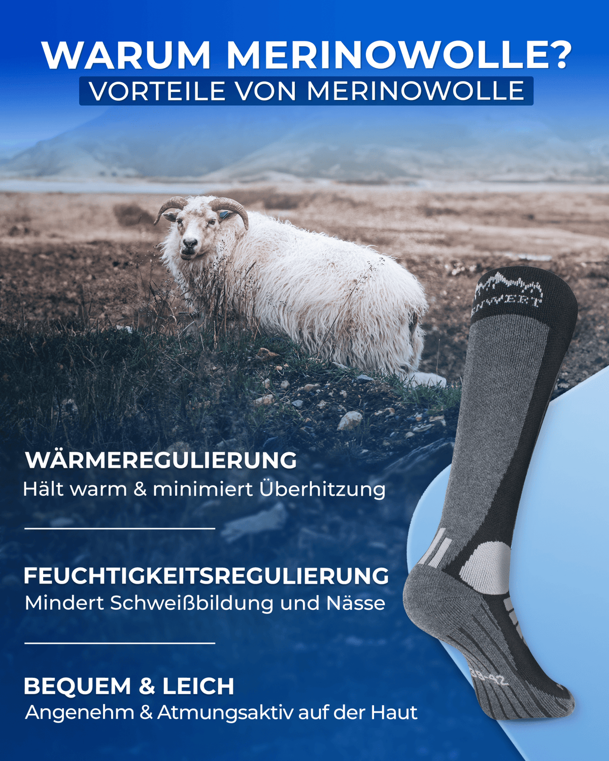Skisocken Merino 2 Paar - ALPENWERT