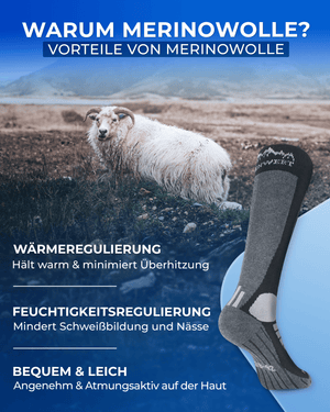 Skisocken Merino 2 Paar - ALPENWERT