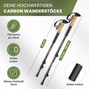 Teleskop Wanderstöcke - ALPENWERT