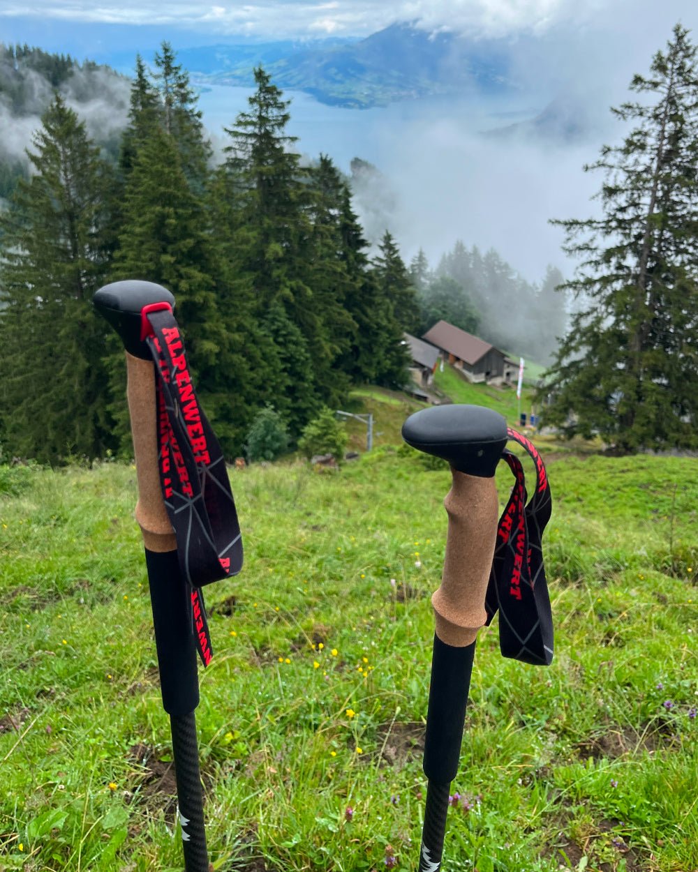 Teleskop Wanderstöcke - ALPENWERT