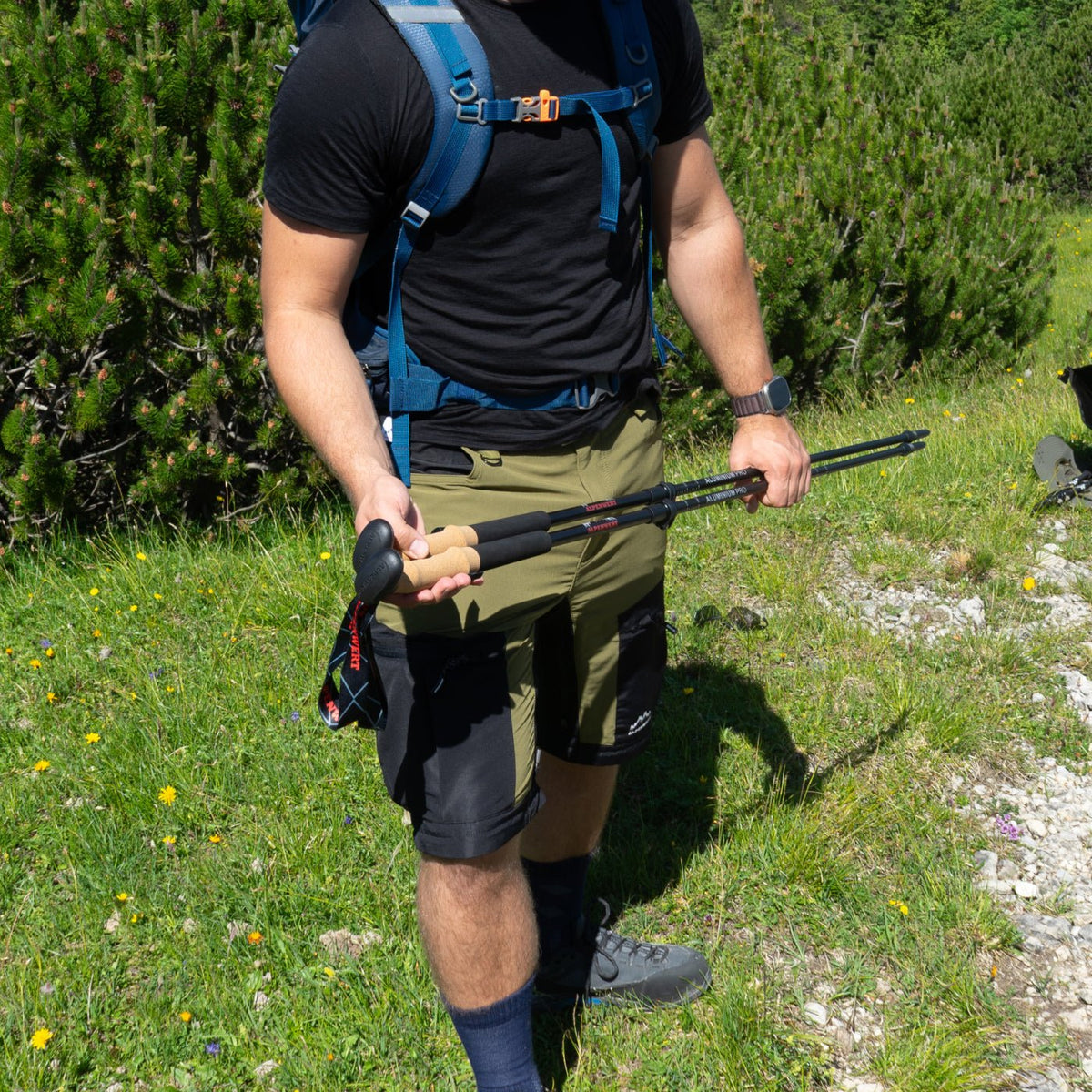 Wanderhose Herren – Leicht & Zip - Off - ALPENWERT