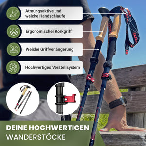Wanderstöcke faltbar - ALPENWERT